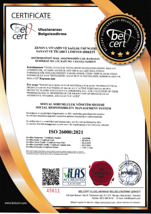 Uluslararası Belgelendirme